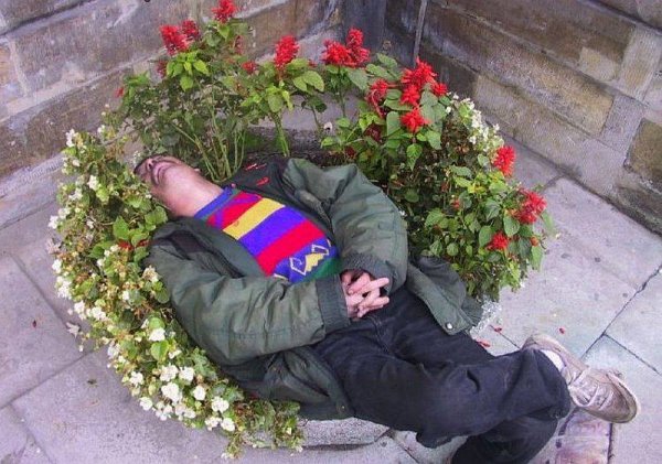 Пьяный в клумбе в цветах