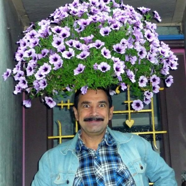 Смешной букет цветов