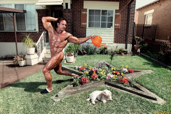 Бомж с цветком