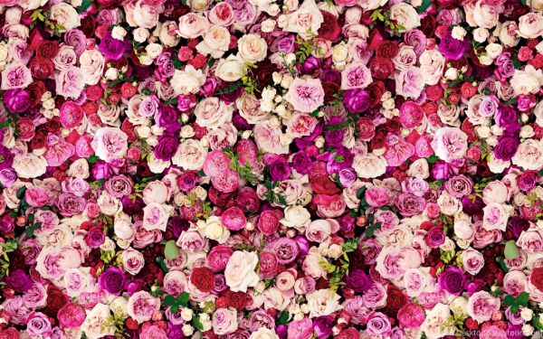 Цветочный фон