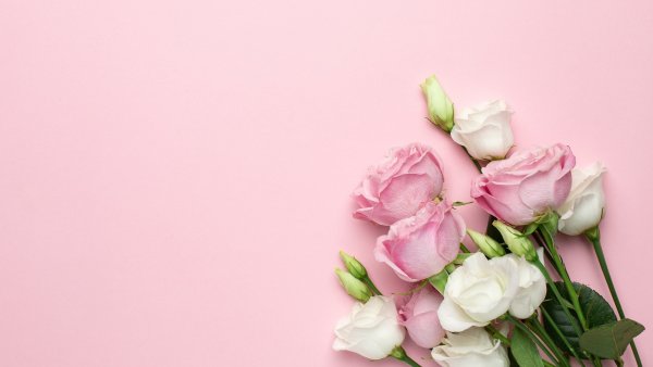 Флоксы цветы