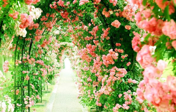 Цветочный фон