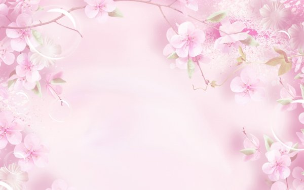 Цветы на однотонном фоне