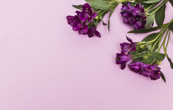 Красивый фон для поздравления