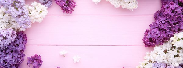 Красивый нежный цветочный фон