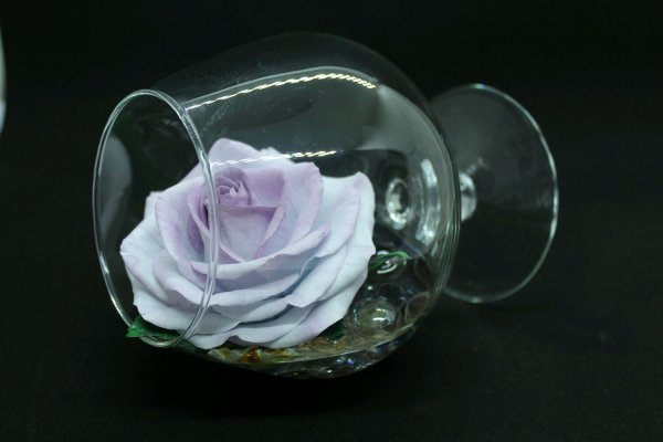 Роза в бокале