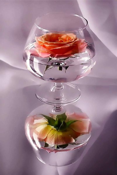 Роза в бокале