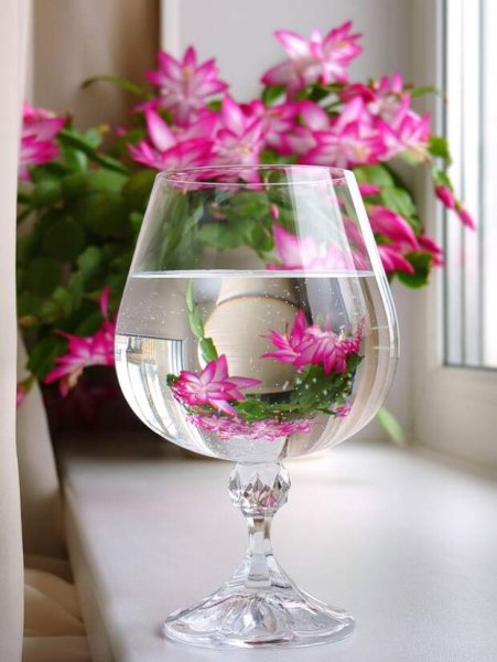 Цветочная композиция в вазе бокале