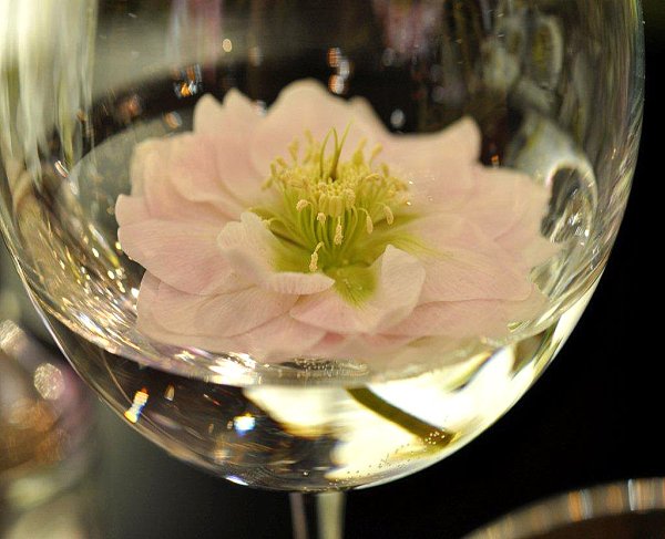 Цветы в бокале