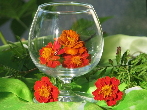 Красивые цветы в стакане