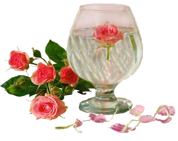 Цветы в бокале