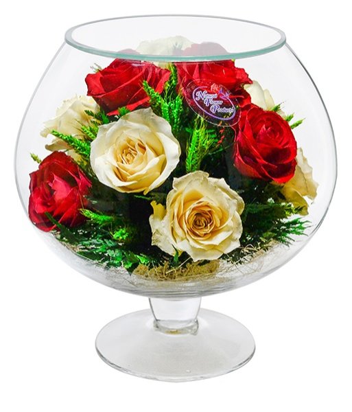 Цветы в стекле ~ вакуум