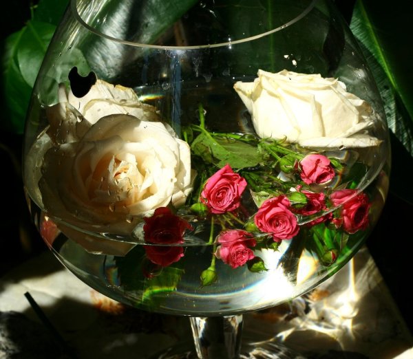 Консервированные розы