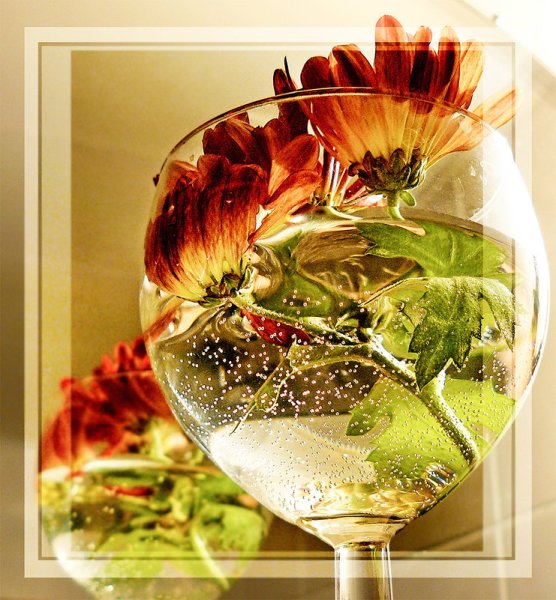 Цветочная композиция в бокале