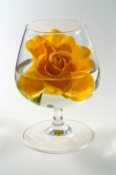 Розочки в чашечке