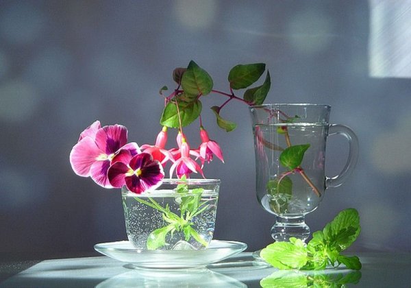 Цветочная композиция в большом бокале