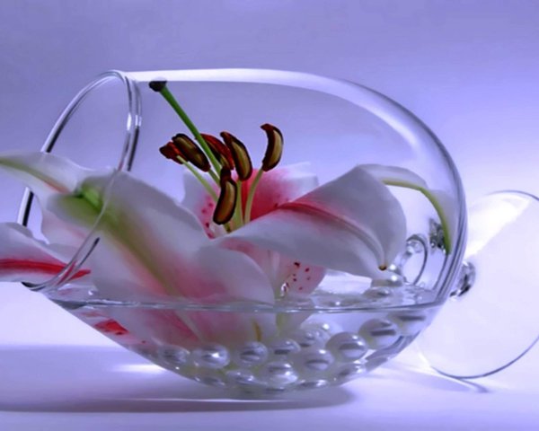 Роза в бокале