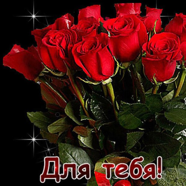 Розы для тебя