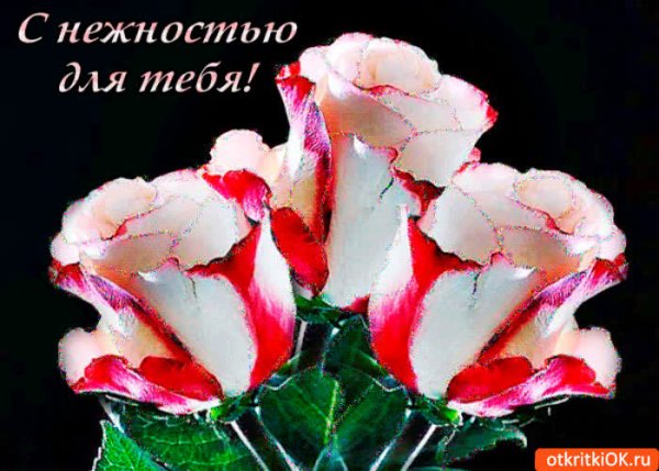 Открытки для тебя с нежностью