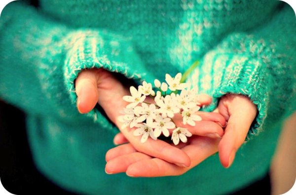 Цветочек в ладошках