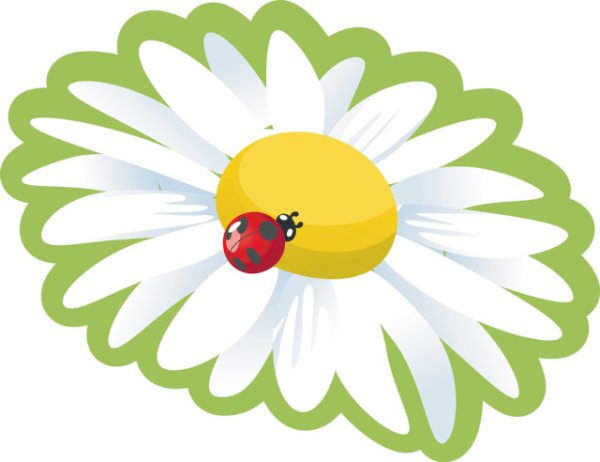 Ромашка для детей