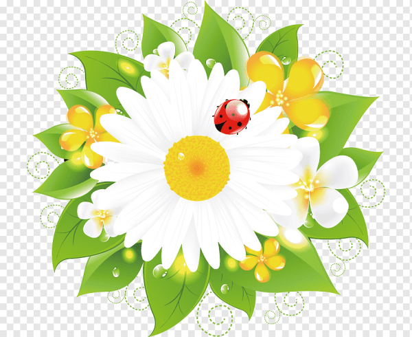 Цветочки для ДОУ