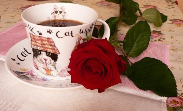 Доброе утро красавица