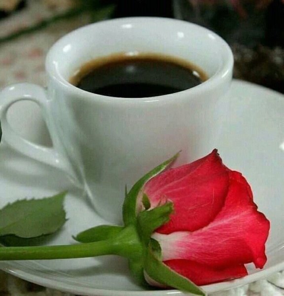 Кофе цветы стильные