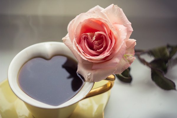 Доброе утро легкого понедельника цветы