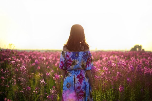 Девушка брюнетка в поле цветов