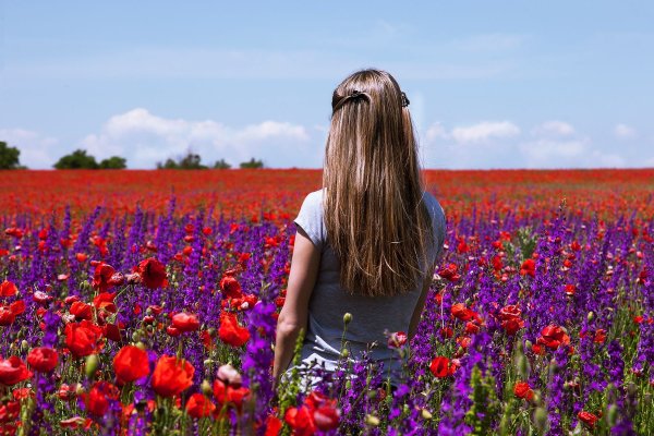 Человек в поле цветов