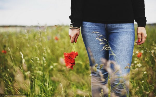 Ноги в маках