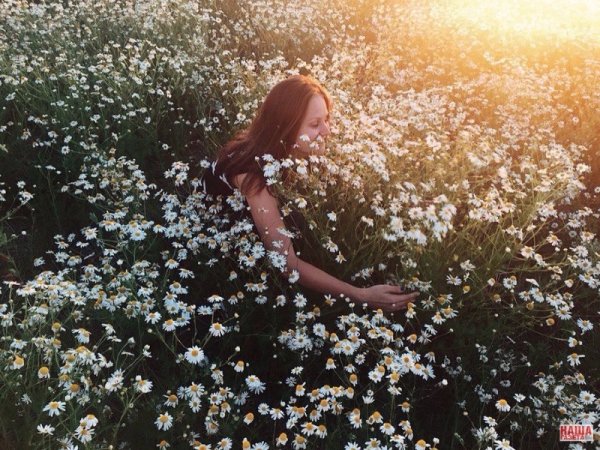 Девушка в ромашках спиной
