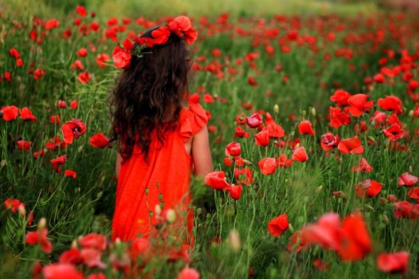 Девочка в поле с цветами