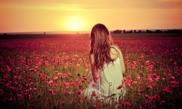 Жизнь прекрасна и приятна