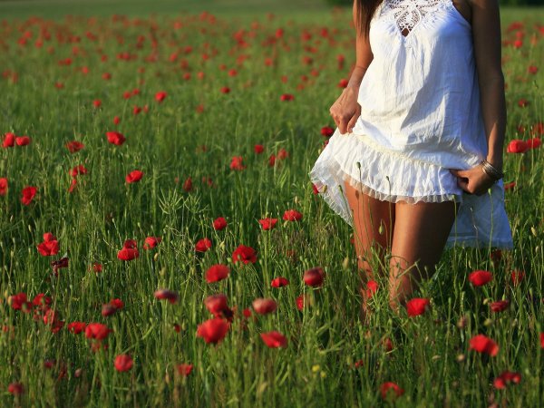 Девушка брюнетка в поле с цветами спиной