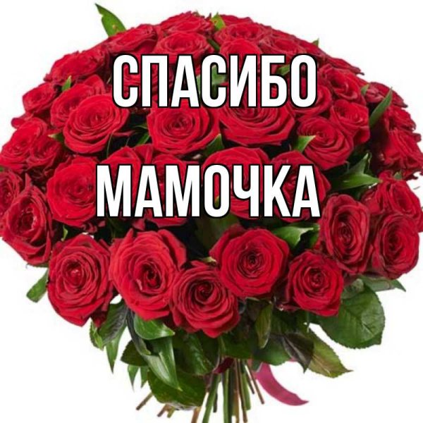 Открытка любимой маме