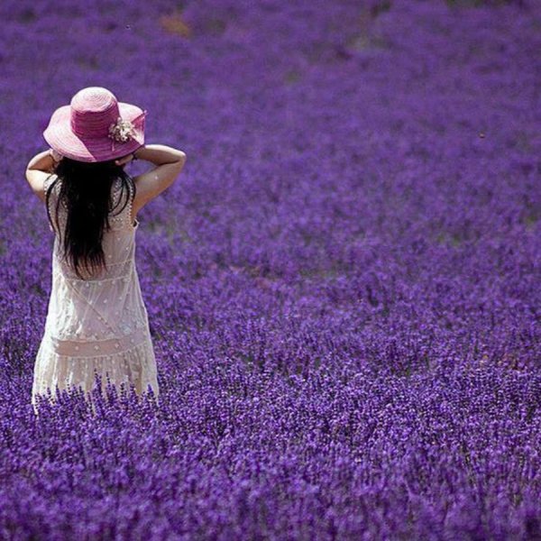 Девушка с ромашками