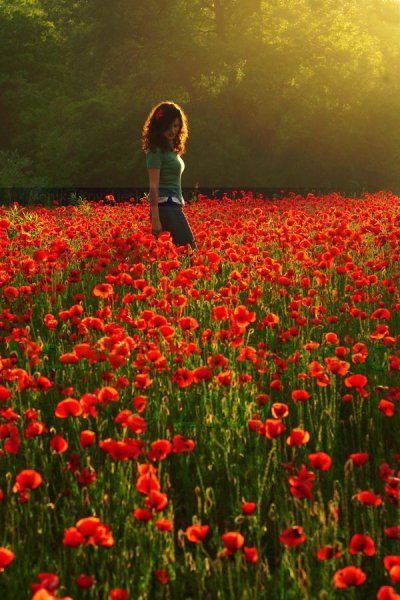 Девушка в поле