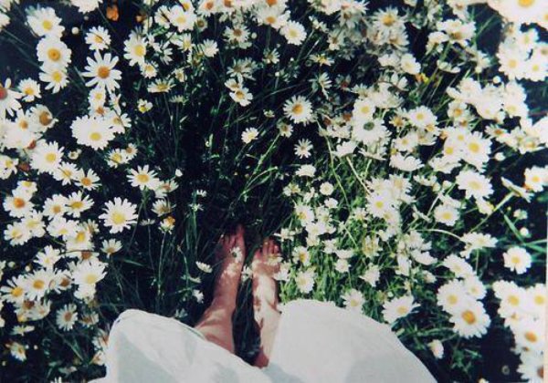 Девушка на природе Эстетика