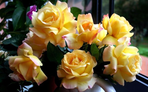 Открытка цветы