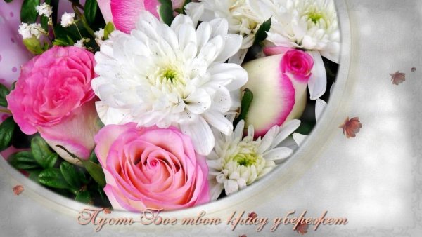 Цветы для самой красивой женщины