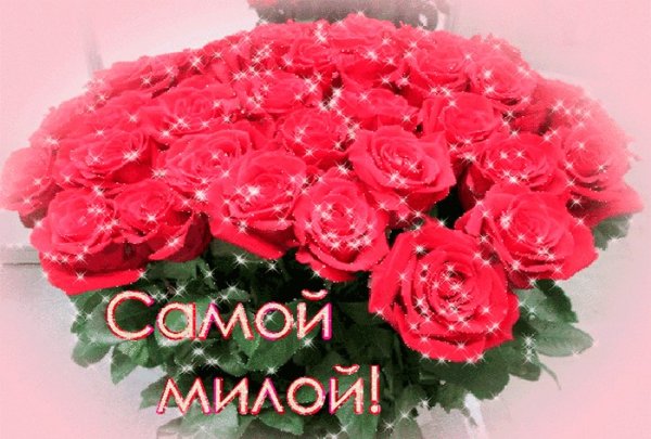 Розы для самой красивой девушки