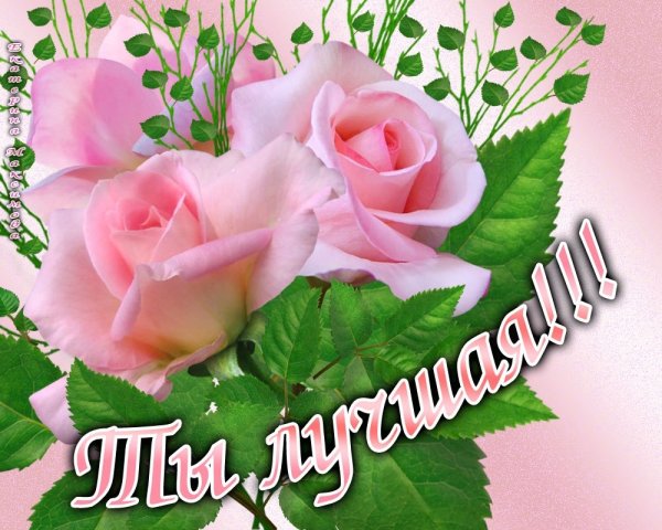 Цветы для самой лучшей