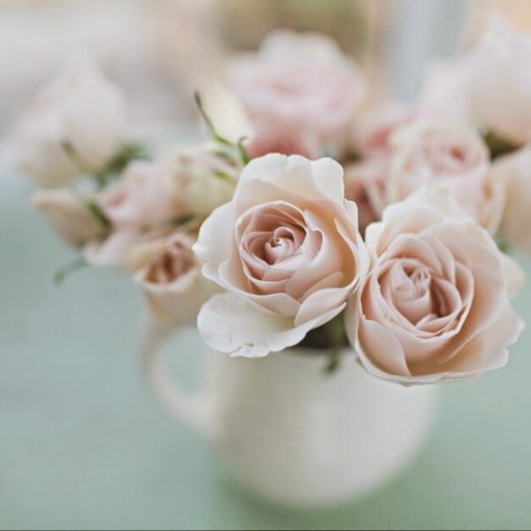 Нежный цветок