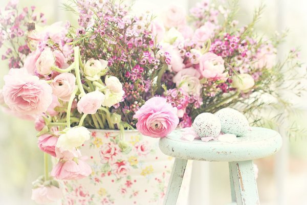 Нежные пастельные цветы