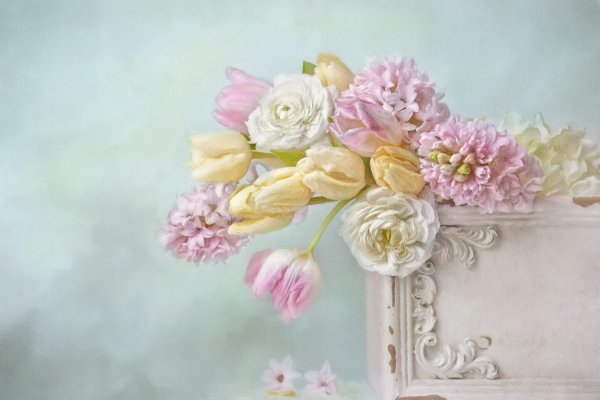 Нежные натюрморты Lizzy pe(Германия)