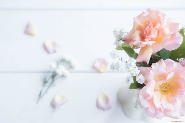 Цветы в пастельных тонах