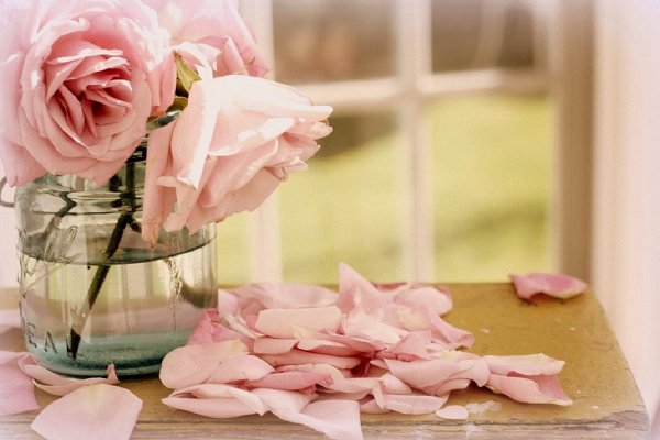 Цветы в пастельных тонах