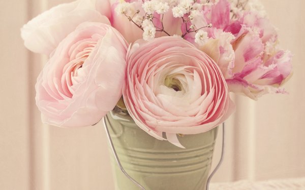 Лютик ранункулюс